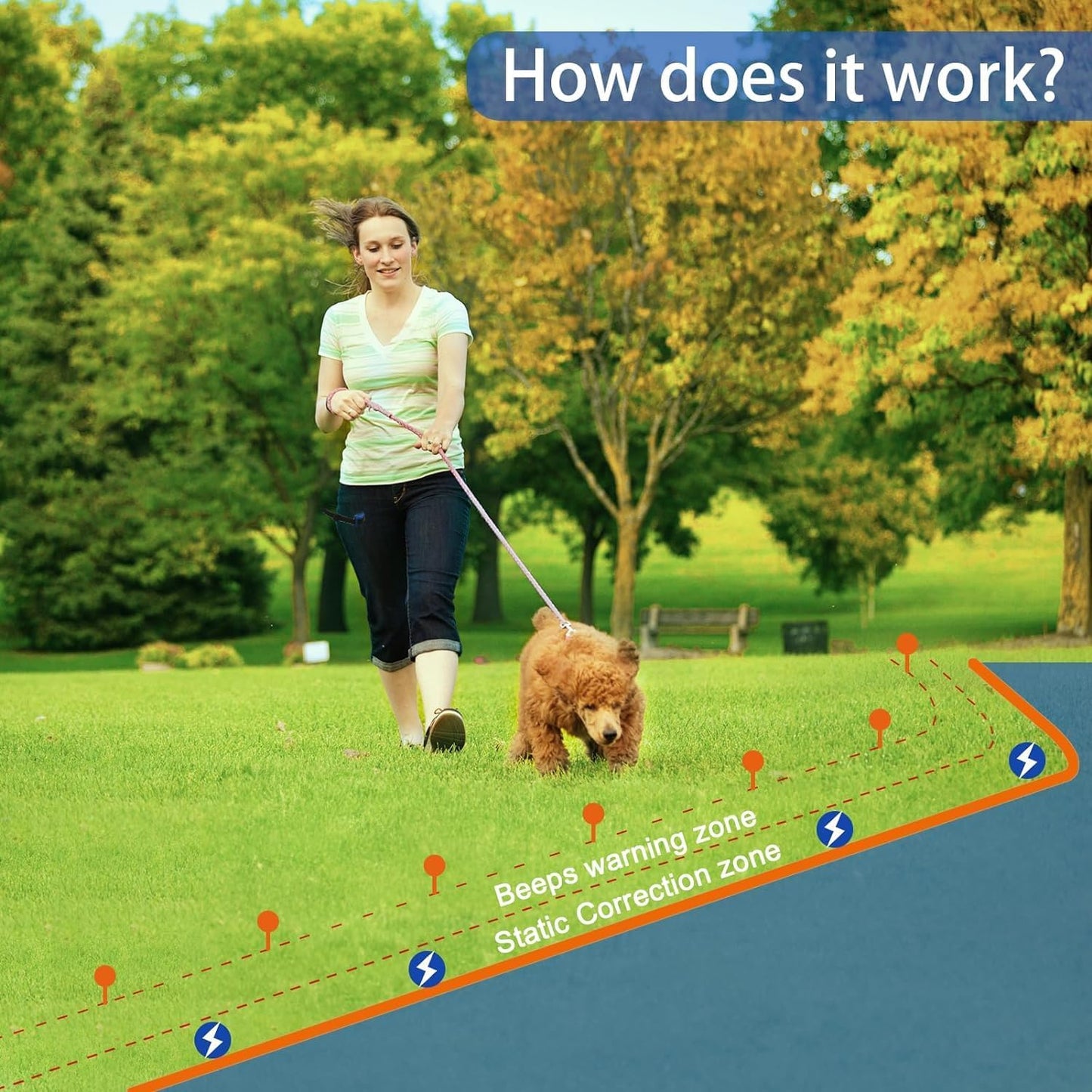 Waterproof electric training collar for dogs over twenty pounds close up view