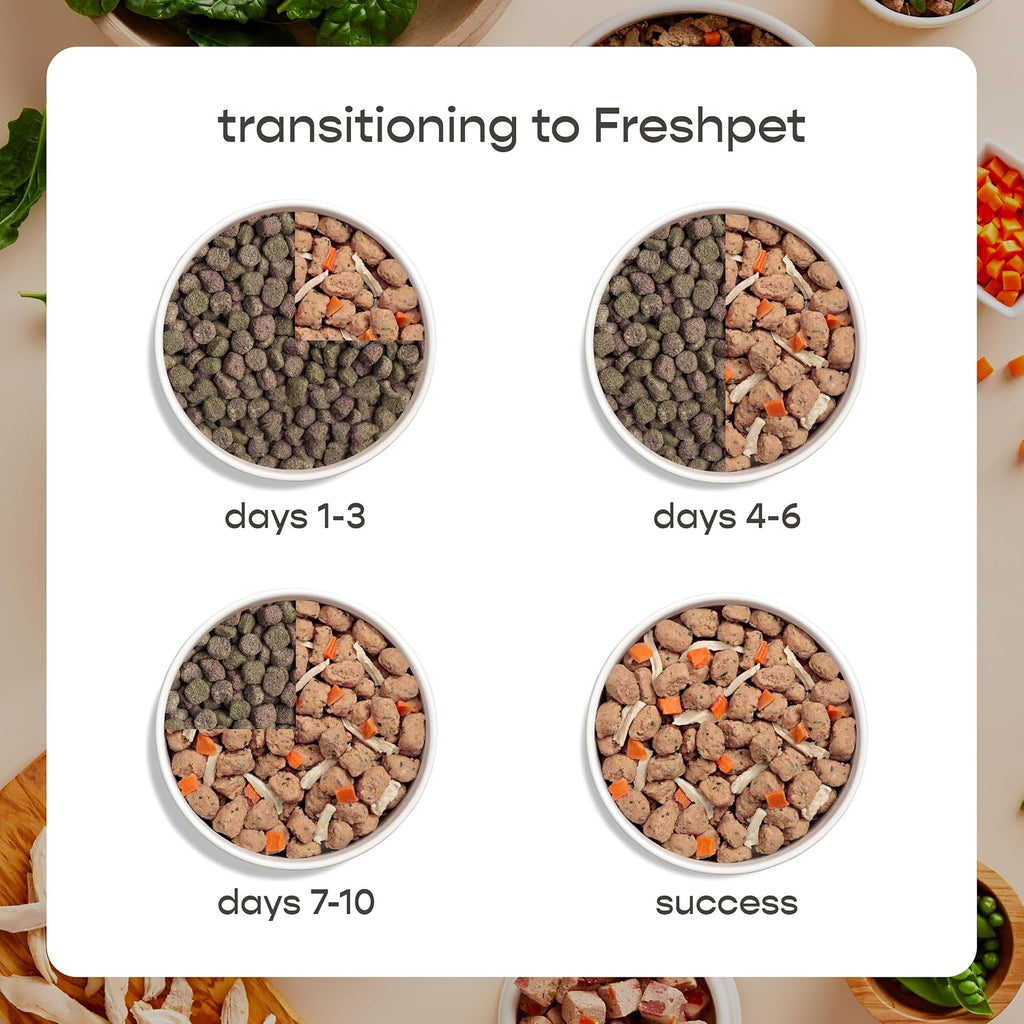 Dog bowl filled with Freshpet Tender Chicken recipe