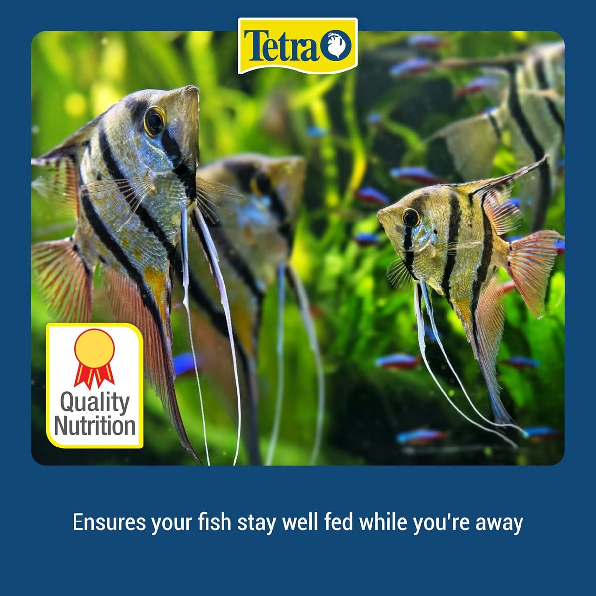 Tetra tropical fish vacation feeder showing 14 day duration label
