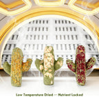 Abizoo guinea pig chew cakes arranged neatly to emphasize the handmade floral and herbal ingredient blend