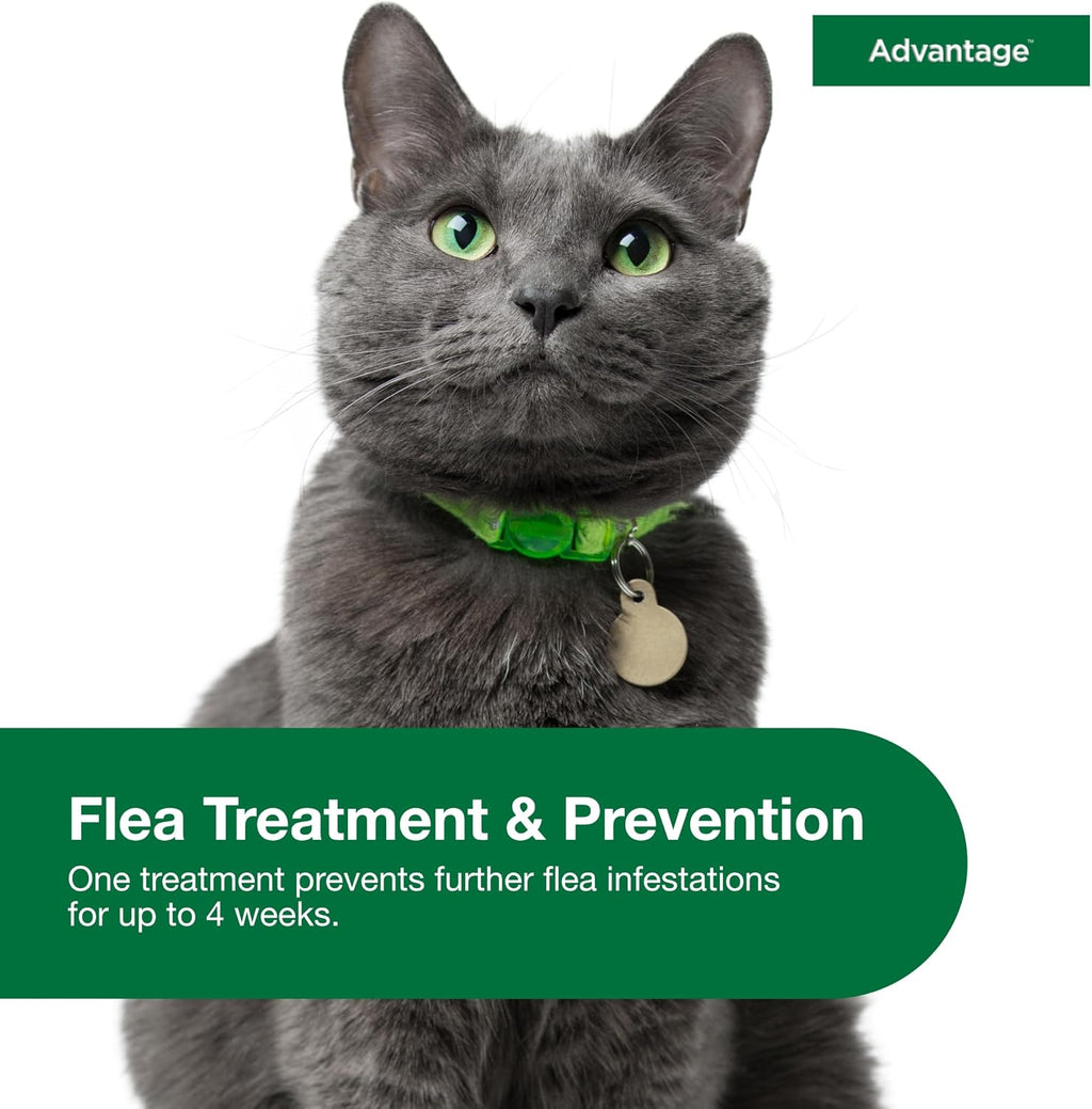 Elanco Advantage topical cat flea prevention components and safety warnings layout
