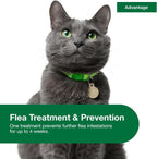 Elanco Advantage topical cat flea prevention components and safety warnings layout