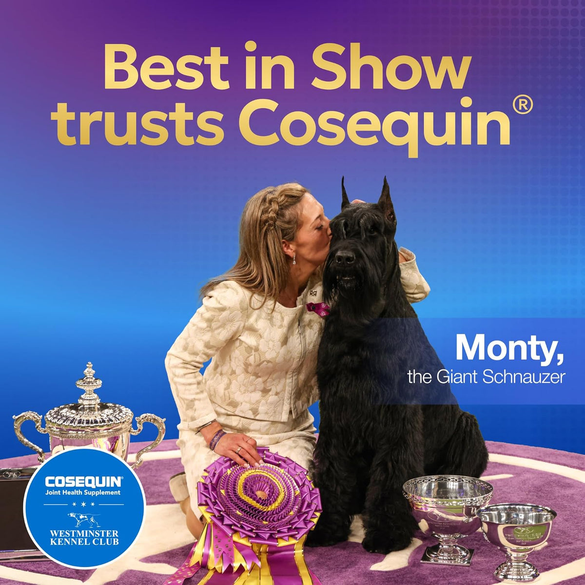 Nutramax Cosequin Joint Health Supplement Lifestyle Display