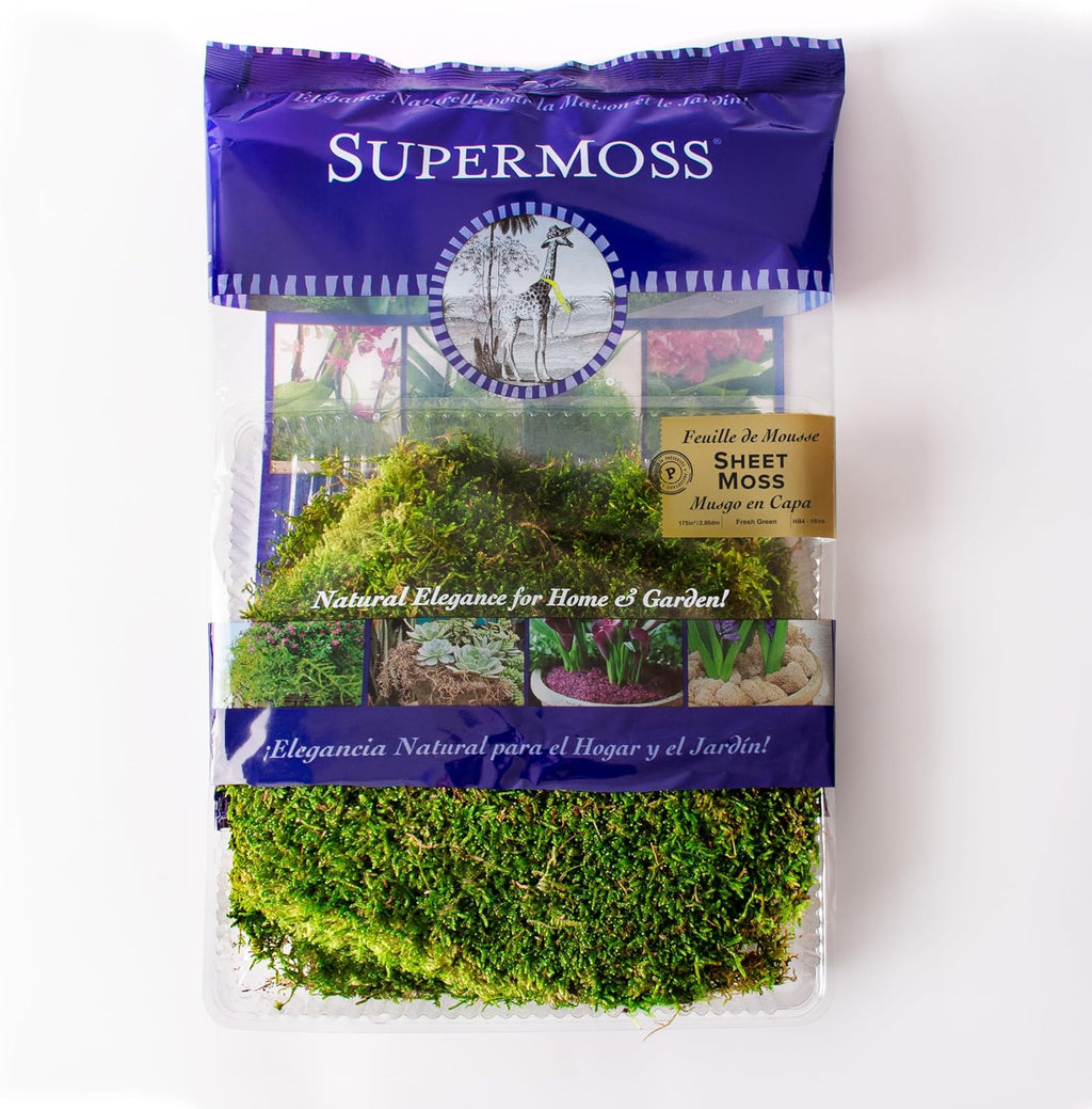 SuperMoss preserved sheet moss displayed in a terrarium setup