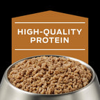 Thirteen point three ounce can of Purina Pro Plan canine wet food