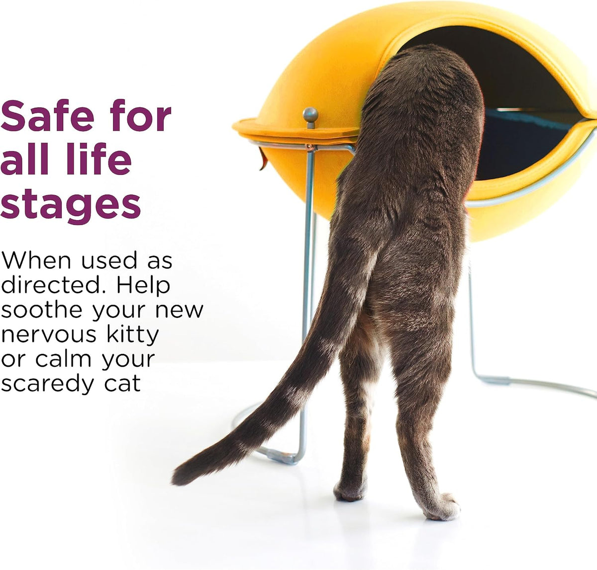 Comfort Zone cat calming spray bottle with brand logo clearly visible