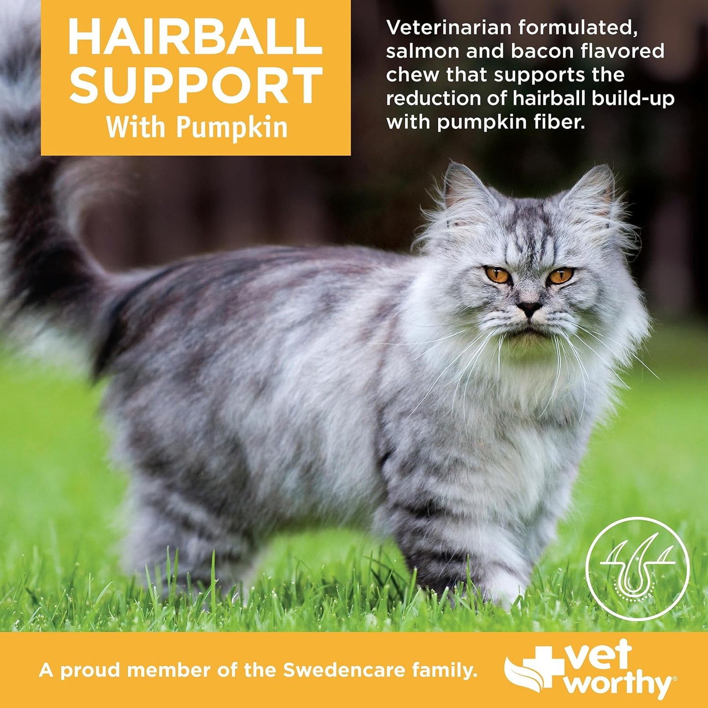 Premium feline hairball prevention supplement packaging showing pumpkin and psyllium husk ingredients