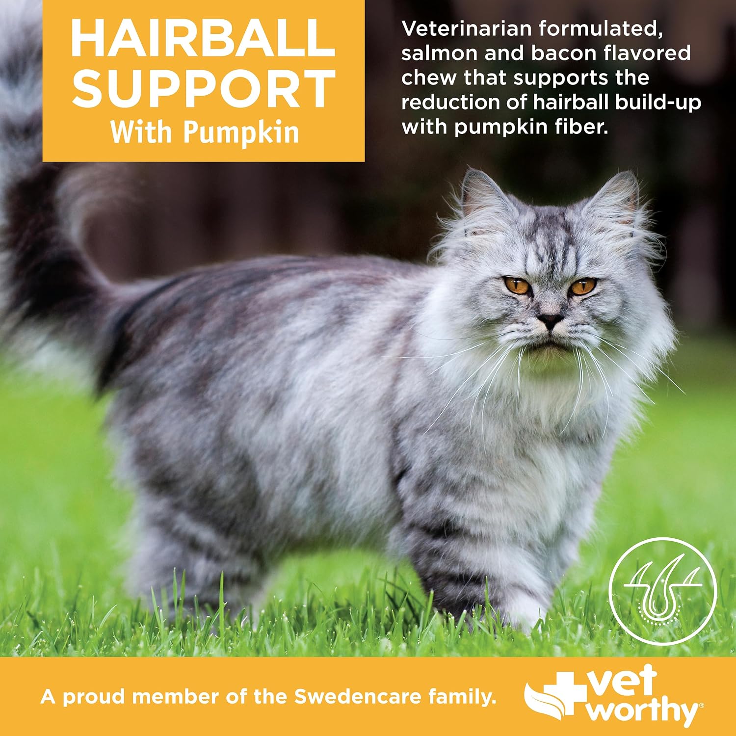 Premium feline hairball prevention supplement packaging showing pumpkin and psyllium husk ingredients