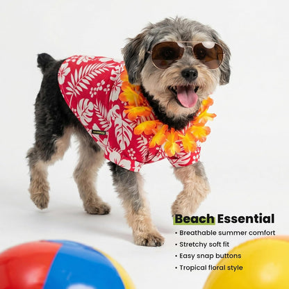 Fitwarm pet apparel collared neck detail for small dogs