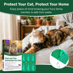 Articats topical cat flea treatment 6 dose box