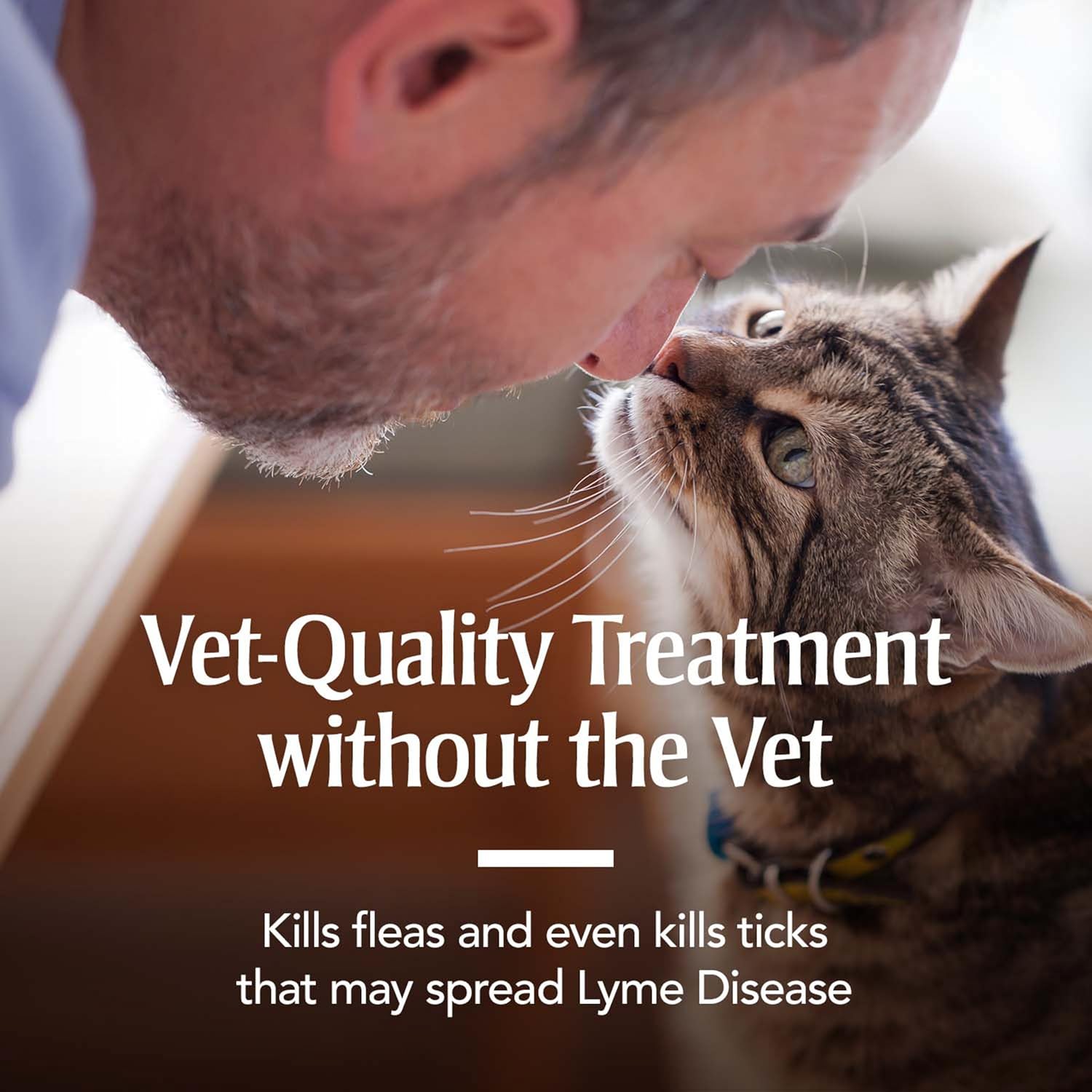 Fipronil topical drops for cat flea prevention