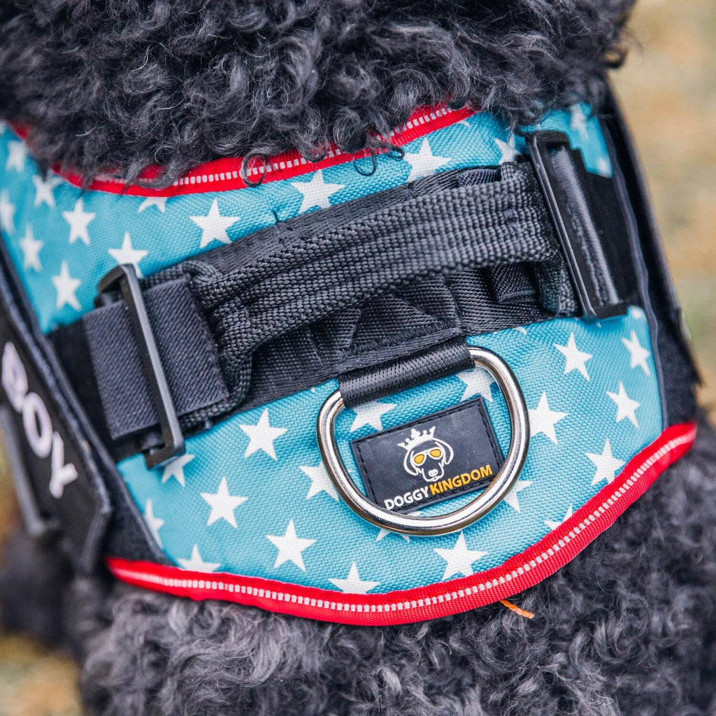 Doggykingdom custom name dog harness breathable mesh padding interior view
