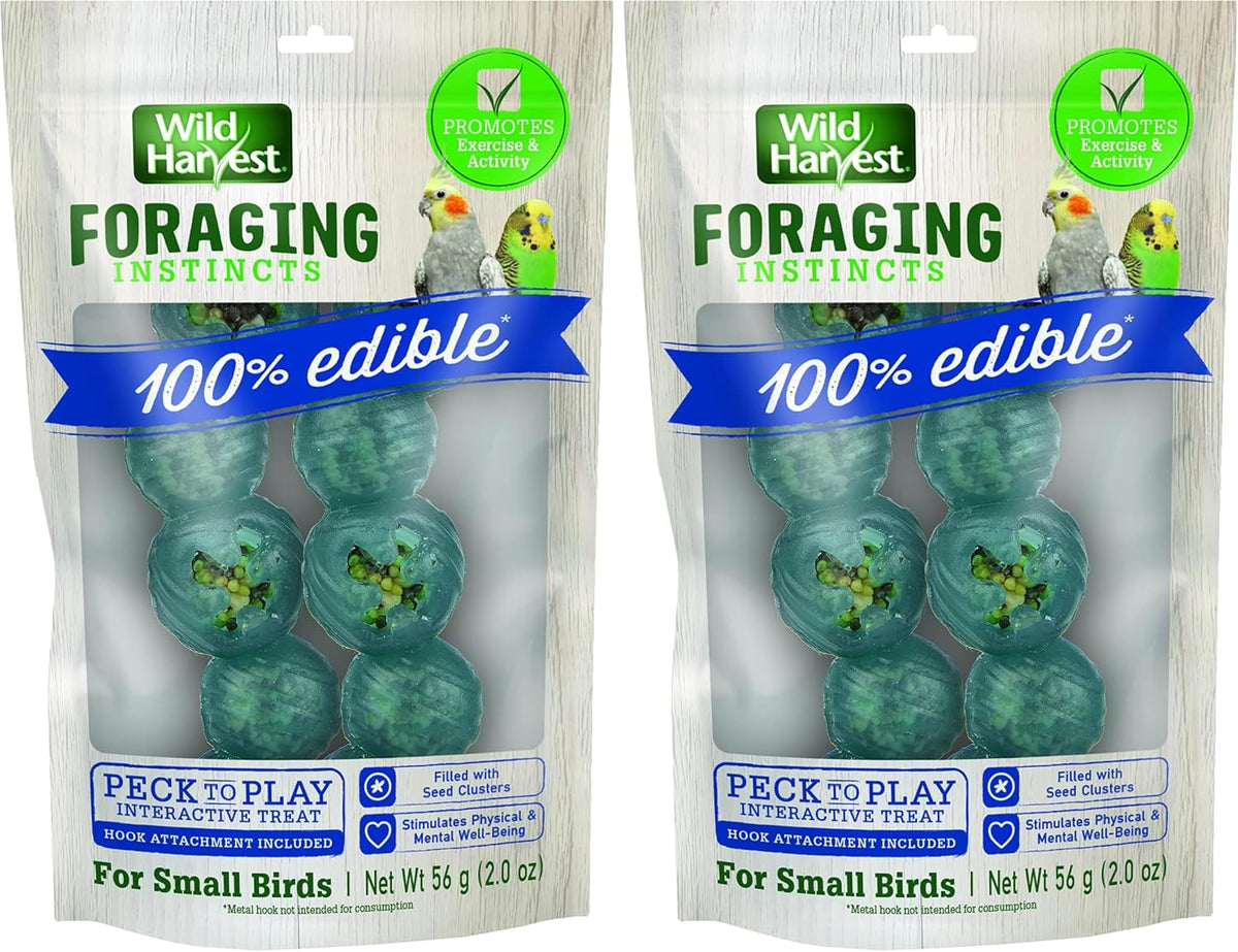 Wild Harvest Foraging Instincts Peck n' Play Interactive Treat, 2 Ounce, for Small Birds - Image 9