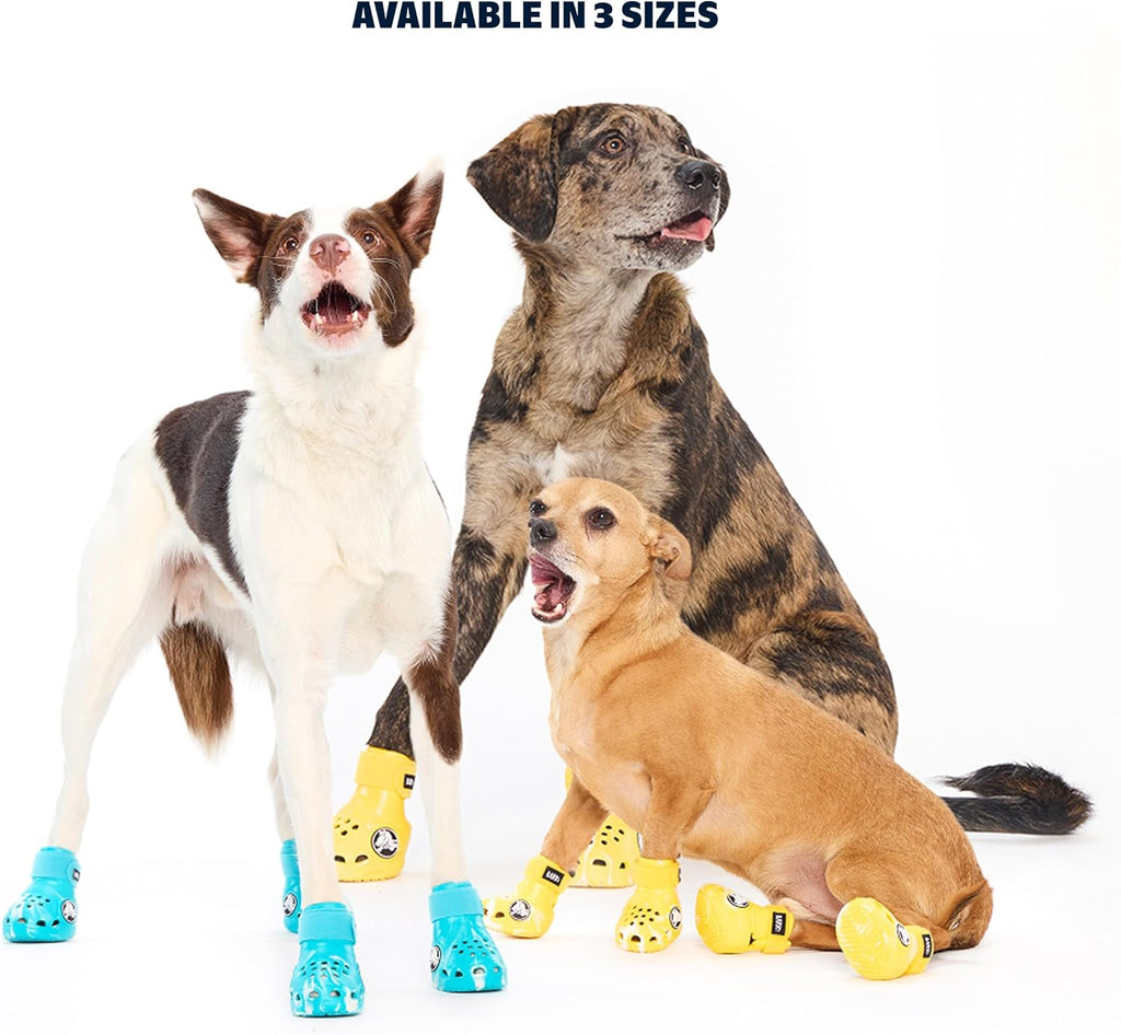 Large breed dog wearing yellow Barkbox glow in the dark shoes