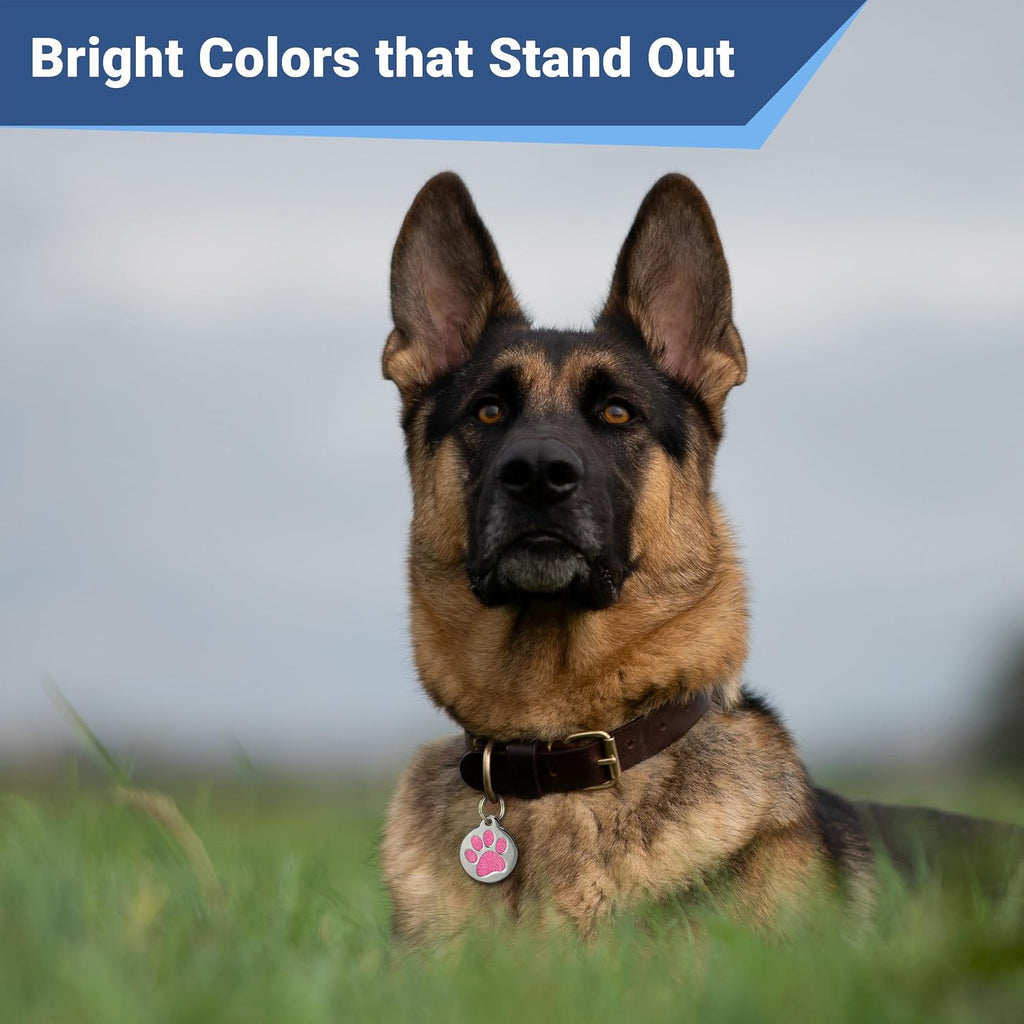 GoTags glitter blue round identification nameplate for active dogs and cats.