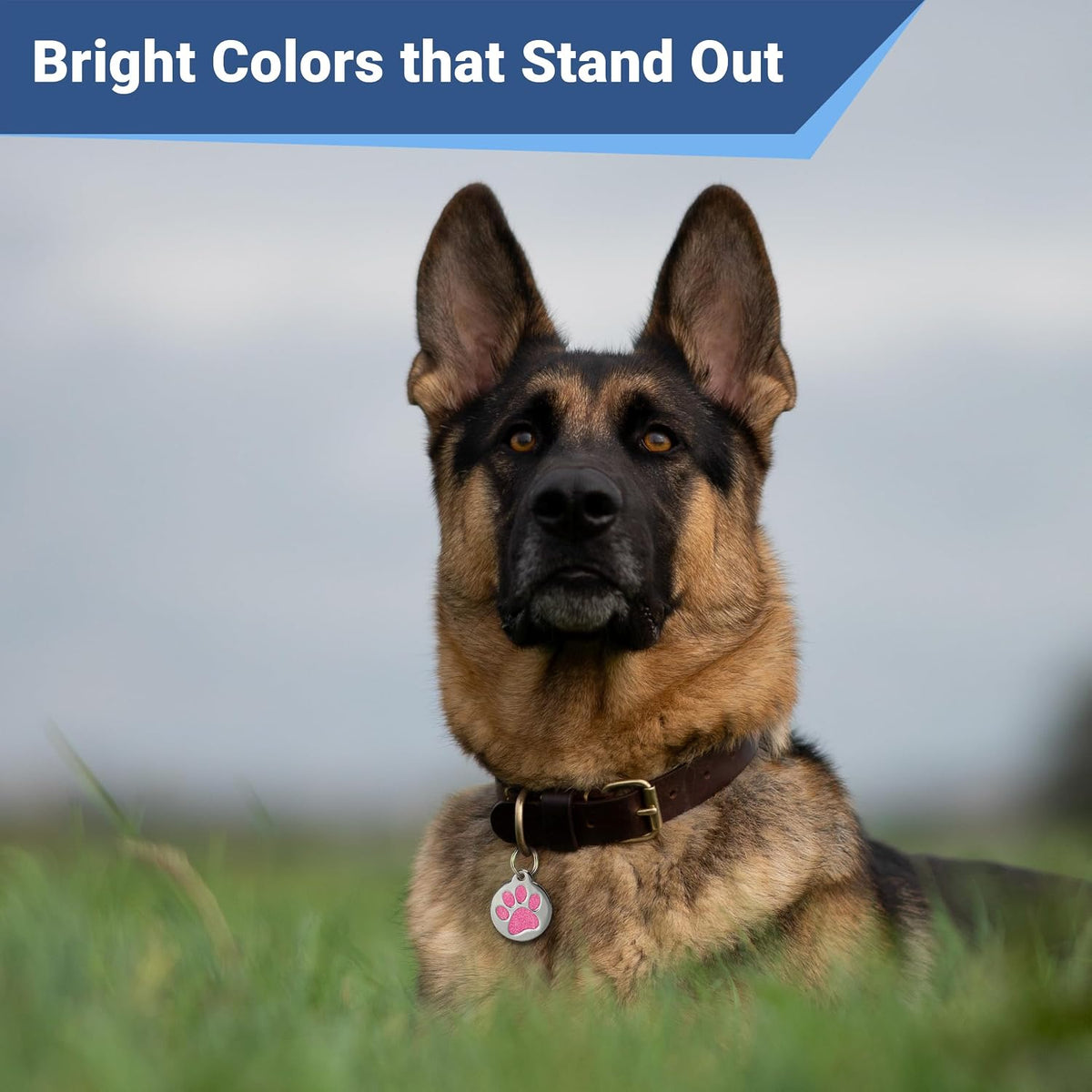 GoTags glitter blue round identification nameplate for active dogs and cats.