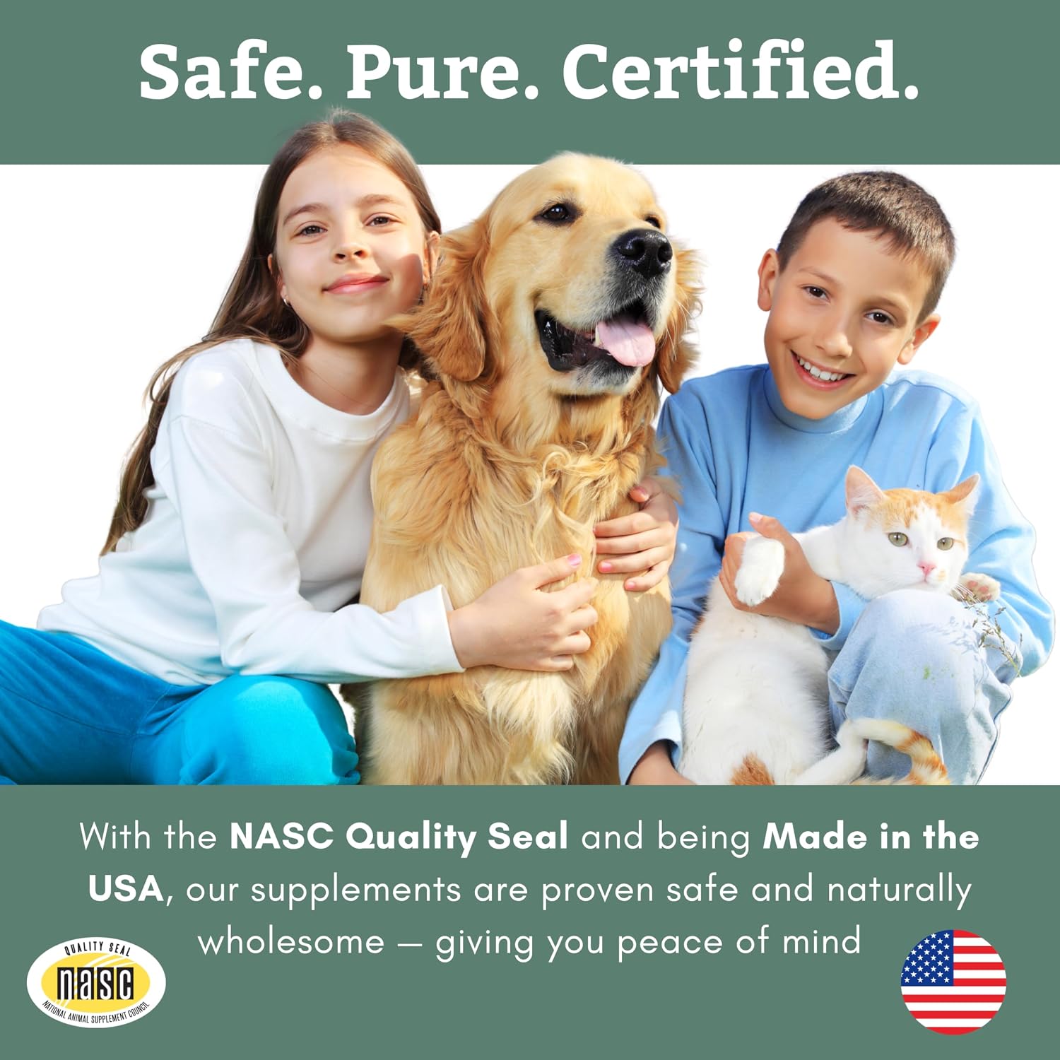 Safe food grade silica powder for dog digestive health