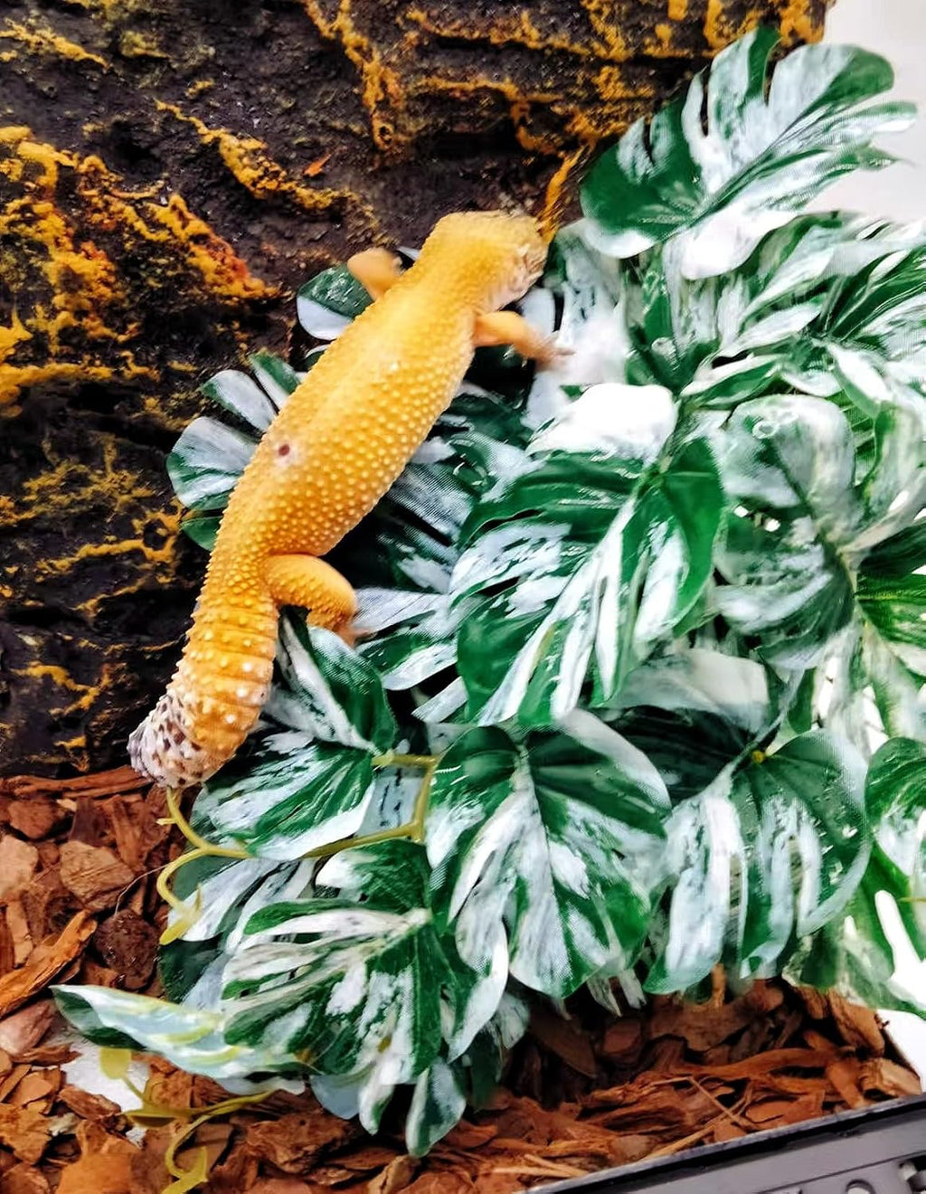 Two pack artificial hanging plants for gecko and snake habitats