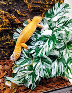 Two pack artificial hanging plants for gecko and snake habitats