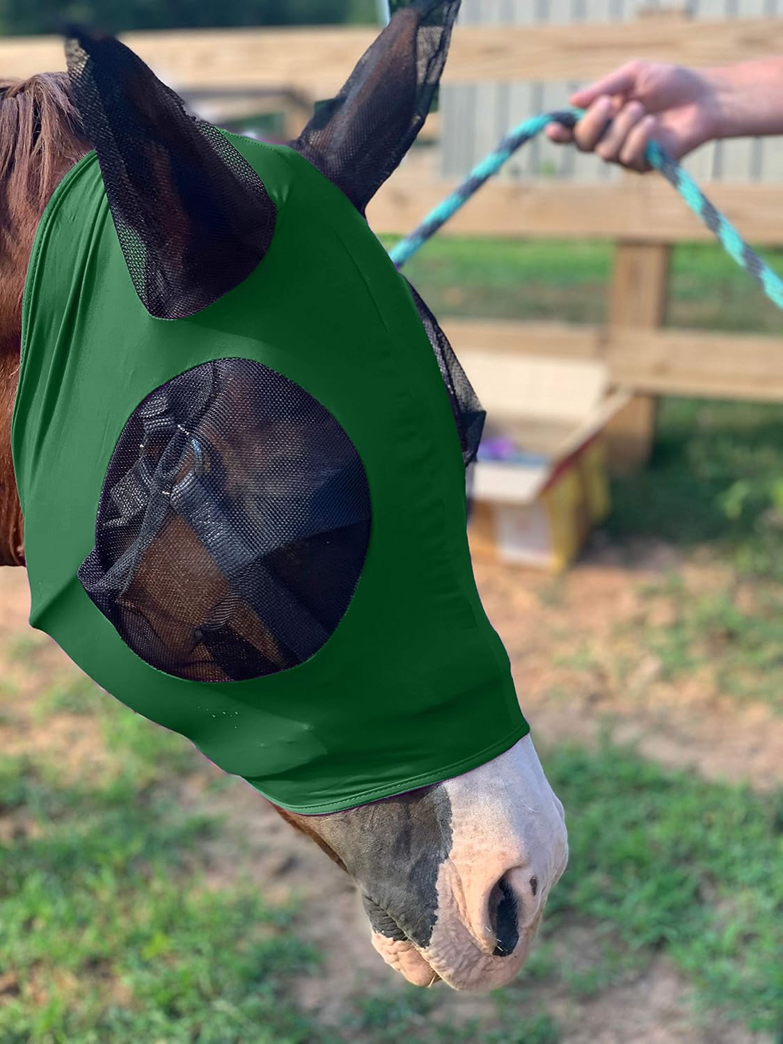 Stretchable UV-Blocking Equine Fly Mask with Moldable Ear Covers, Adjustable Comfort Mesh Straps, Leopard-Pattern Pasture & Trail Protection Perfectly Sized for Full Sized Horses - - Image 14