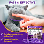 Purple pheromone cat calming collar adjusting on a pet neck