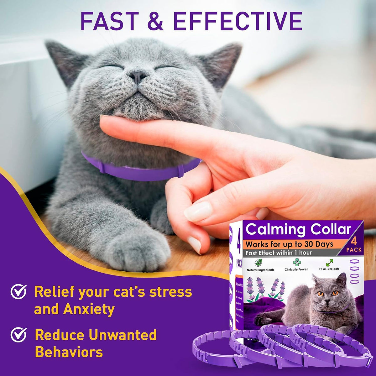 Purple pheromone cat calming collar adjusting on a pet neck