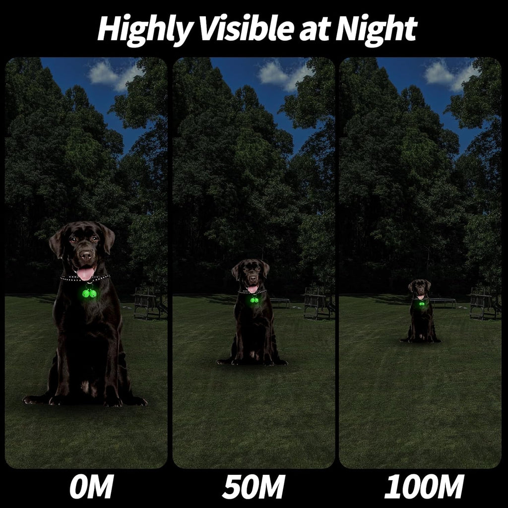 Side angle view of the Whimsii wildlife protection pet bell attached to a standard dog collar