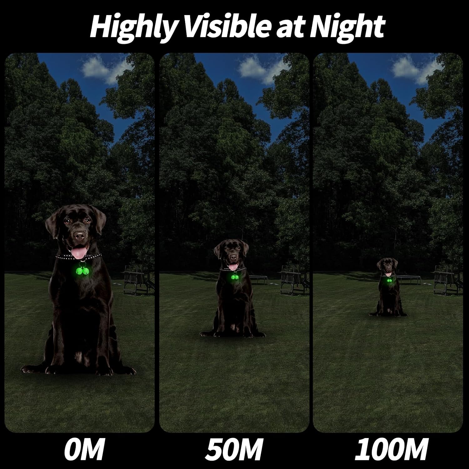 Side angle view of the Whimsii wildlife protection pet bell attached to a standard dog collar