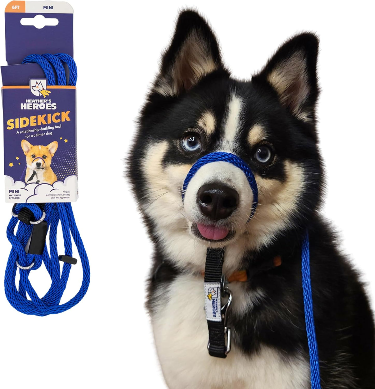 Heather's Heroes Sidekick Dog Headcollar with Leash - Sidekick Leash for Dogs, Effective Dog Training Tool for Leash Reactivity and Behavior Issues (Turquoise, Mini (1/4")) - Image 9