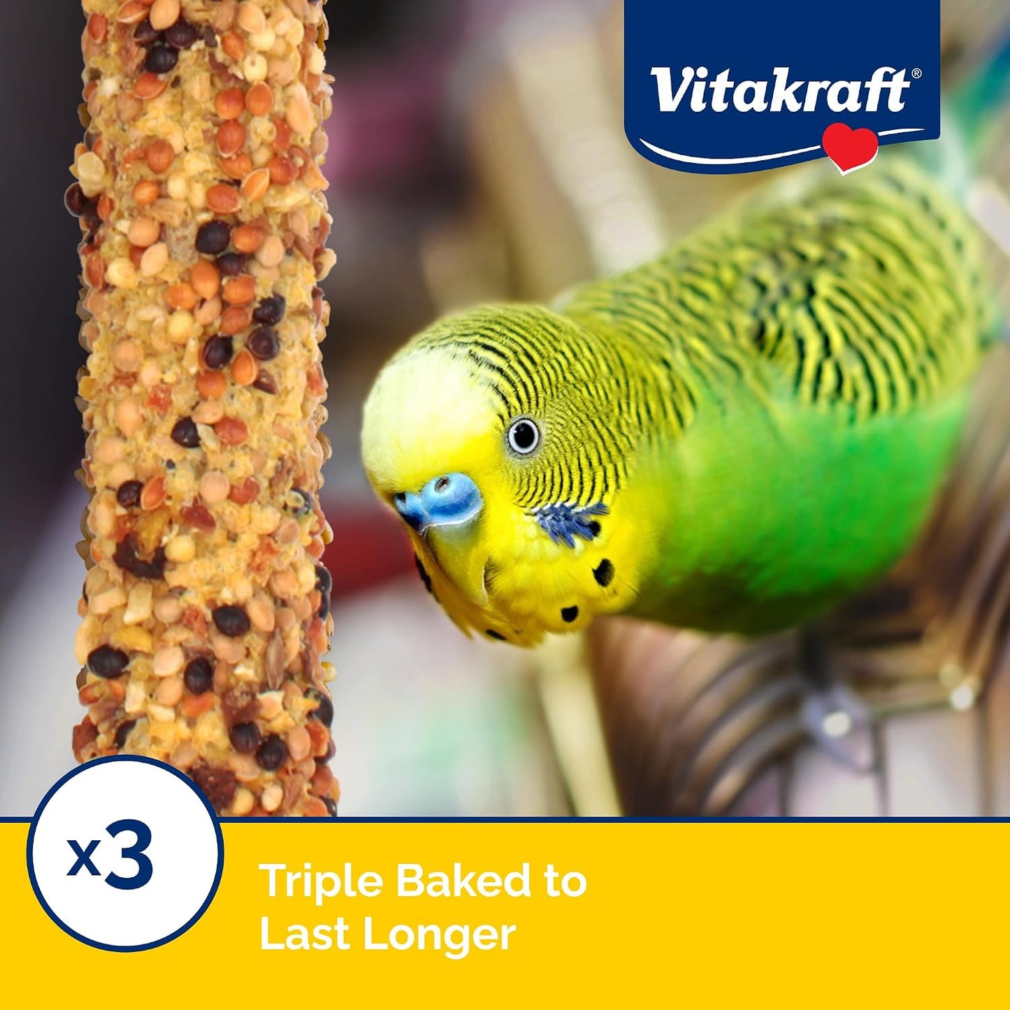 Parakeet enjoying Vitakraft honey flavor crunch stick