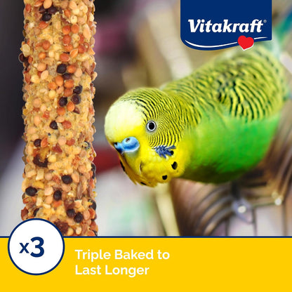 Parakeet enjoying Vitakraft honey flavor crunch stick