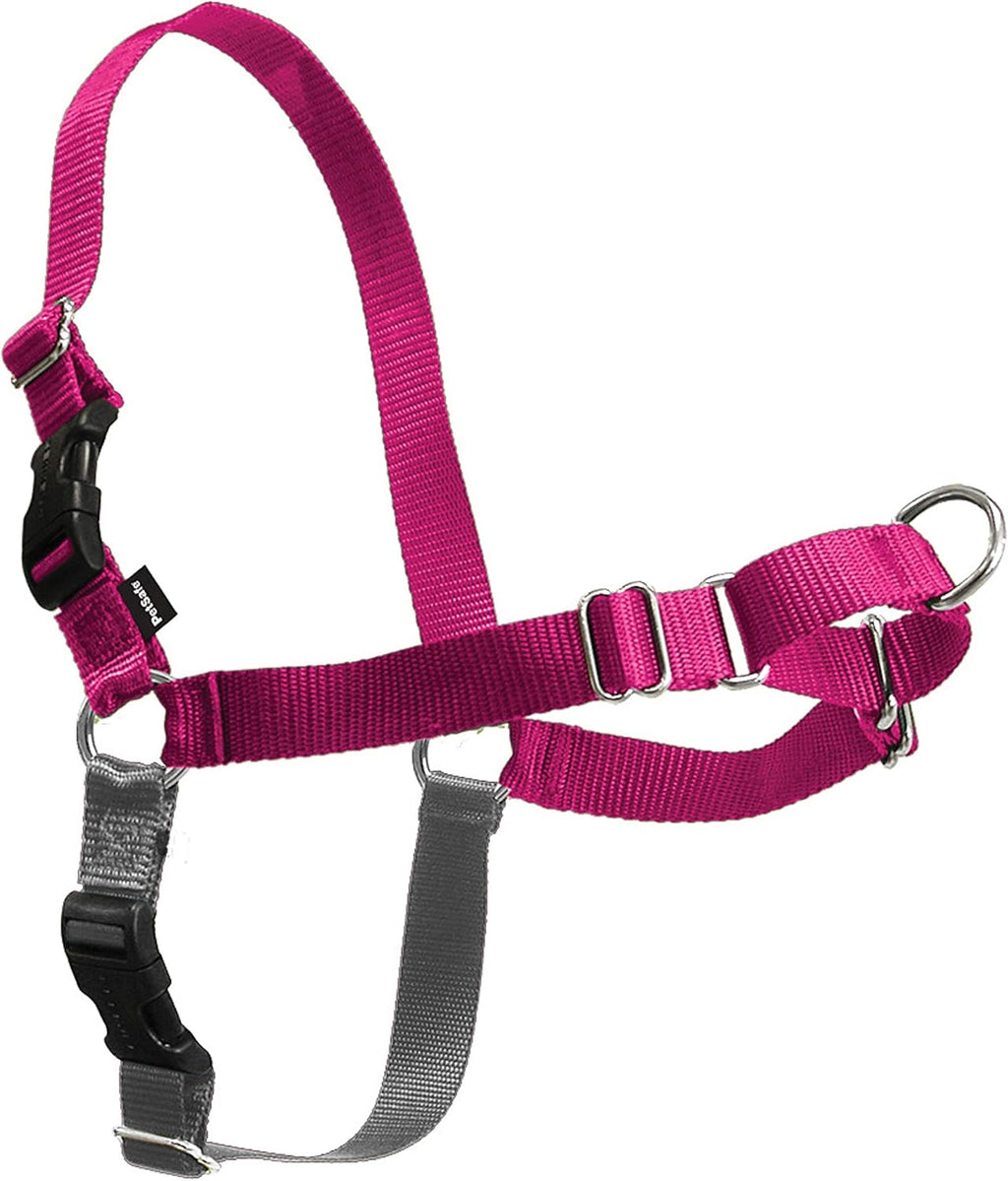 PetSafe Easy Walk No-Pull Dog Harness - Ultimate Harness to Help Stop Pulling - Pull-Free Walks - Take Control & Teach Better Leash Manners - Patented Martingale Loop Design - Black, Large - Image 13
