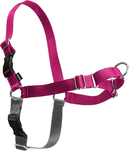 PetSafe Easy Walk No-Pull Dog Harness - Ultimate Harness to Help Stop Pulling - Pull-Free Walks - Take Control & Teach Better Leash Manners - Patented Martingale Loop Design - Black, Large - Image 13