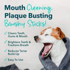 Iheartdogs Brushy Sticks 30 count bag size reference