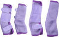 Gallopoff horse fly boots set of 4 violet full front view on horse legs