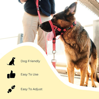 ZEVEY reflective dog training halter safety strap connection detail
