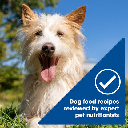 Healthy grain wet dog food variety pack for adult dogs