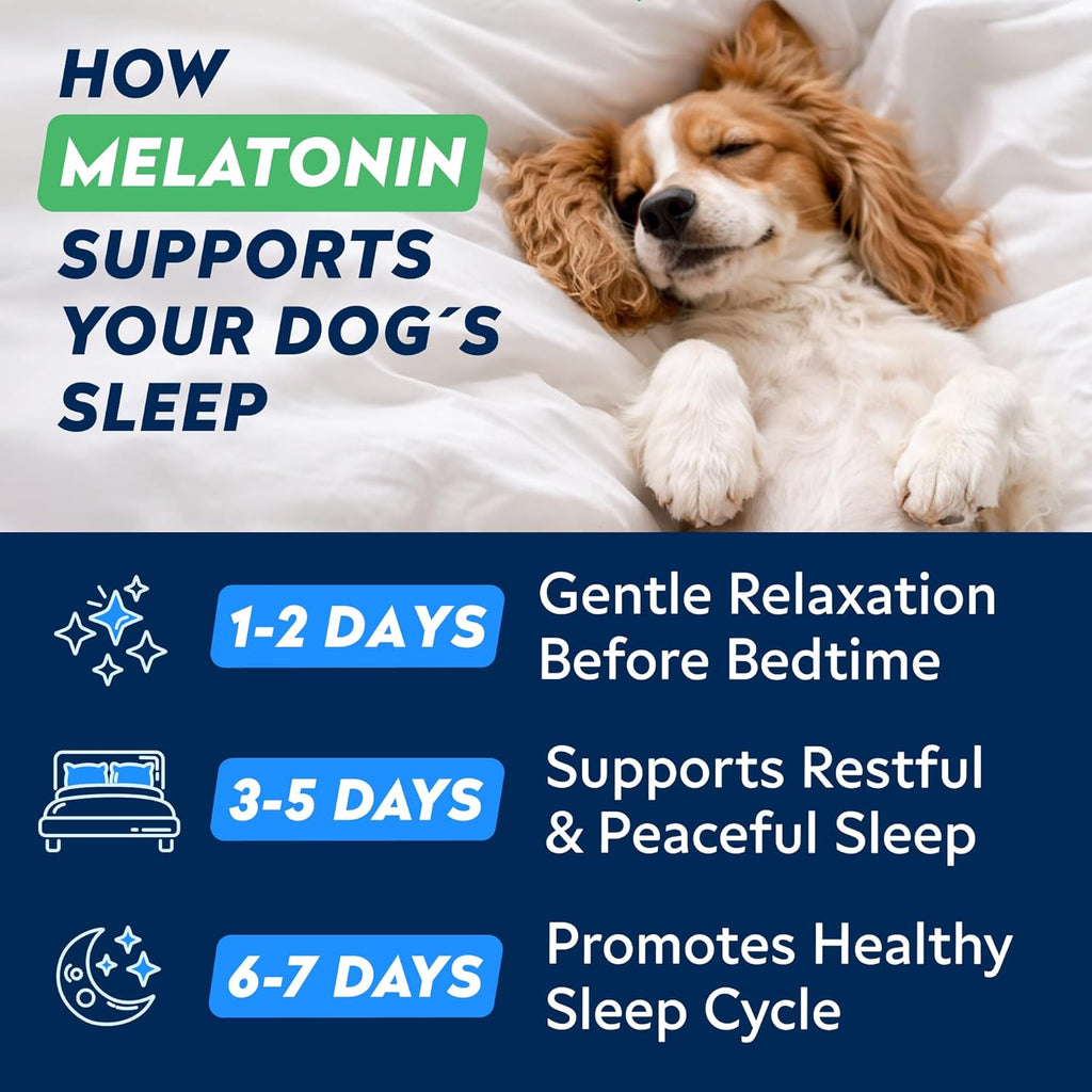 StrellaLab calming chews label detailing 6mg melatonin