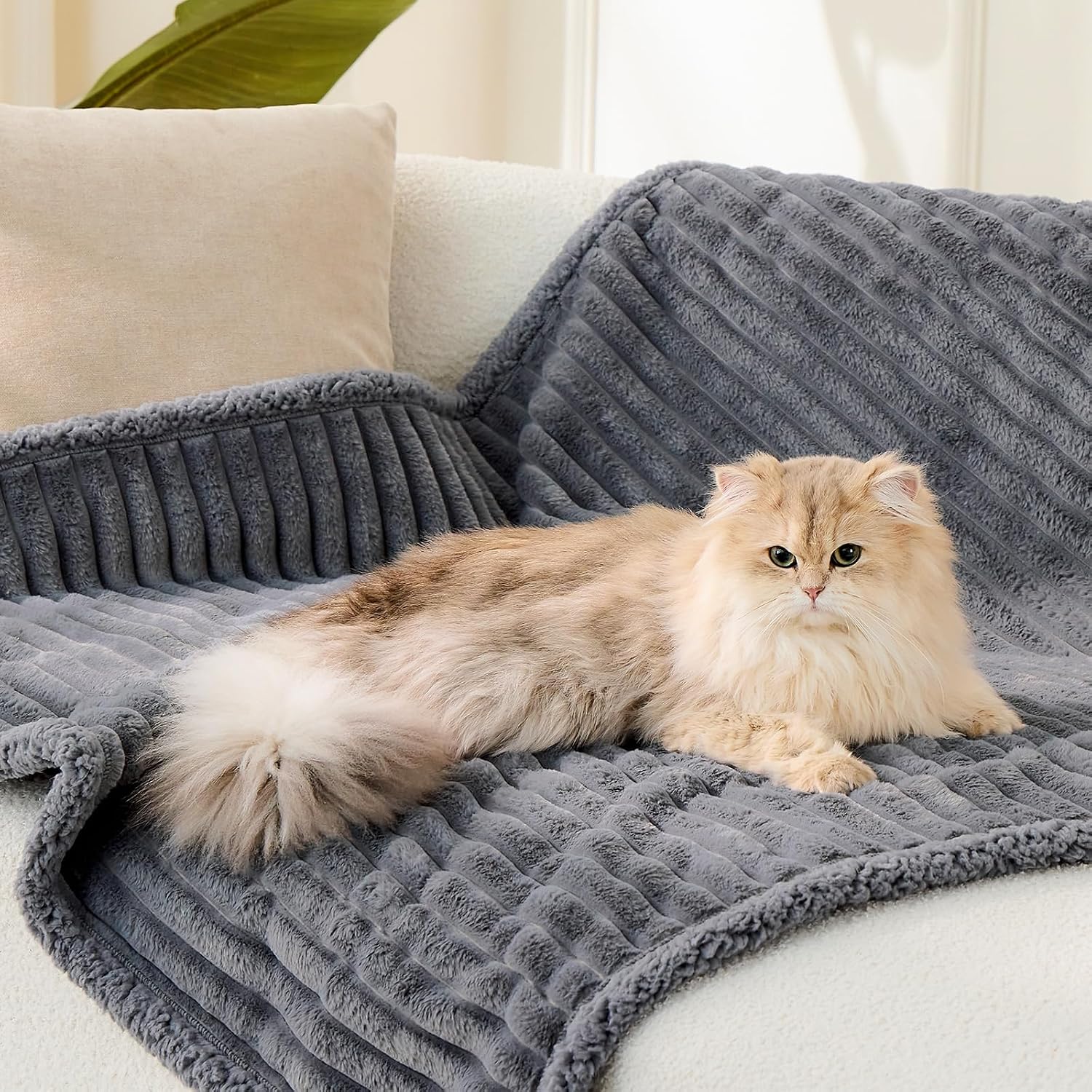Qeils premium grey protective pet mat keeping a couch clean from pet hair