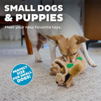 Outward Hound interactive squeaky squirrel toys for puppies and small dogs