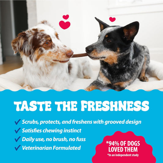 Dental Fresh dog dental sticks showcasing the unique eight groove textured cleaning shape