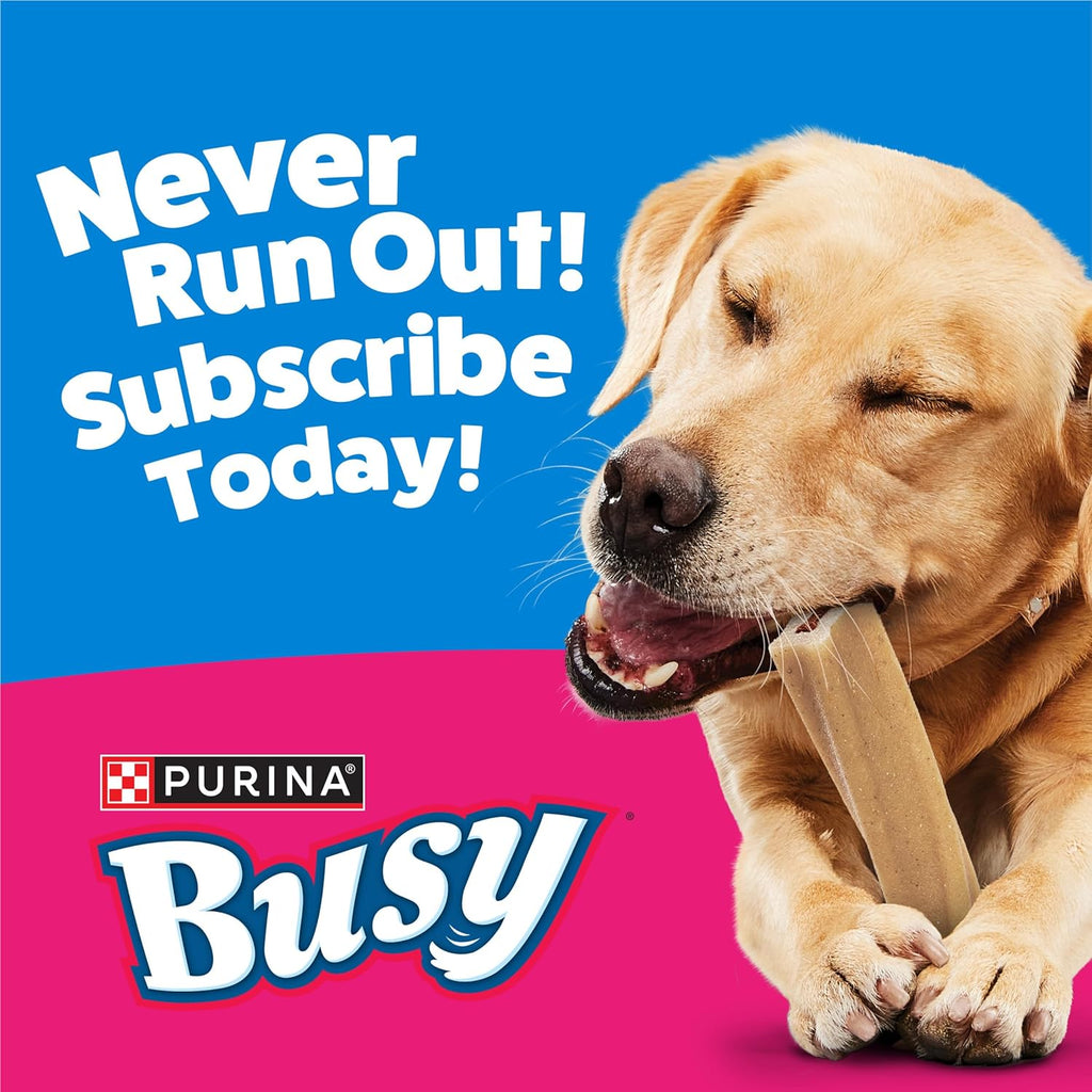 Purina Busy Bone Adult Dog Chew Bone Treats, Original - 10 ct. Pouch - Image 12