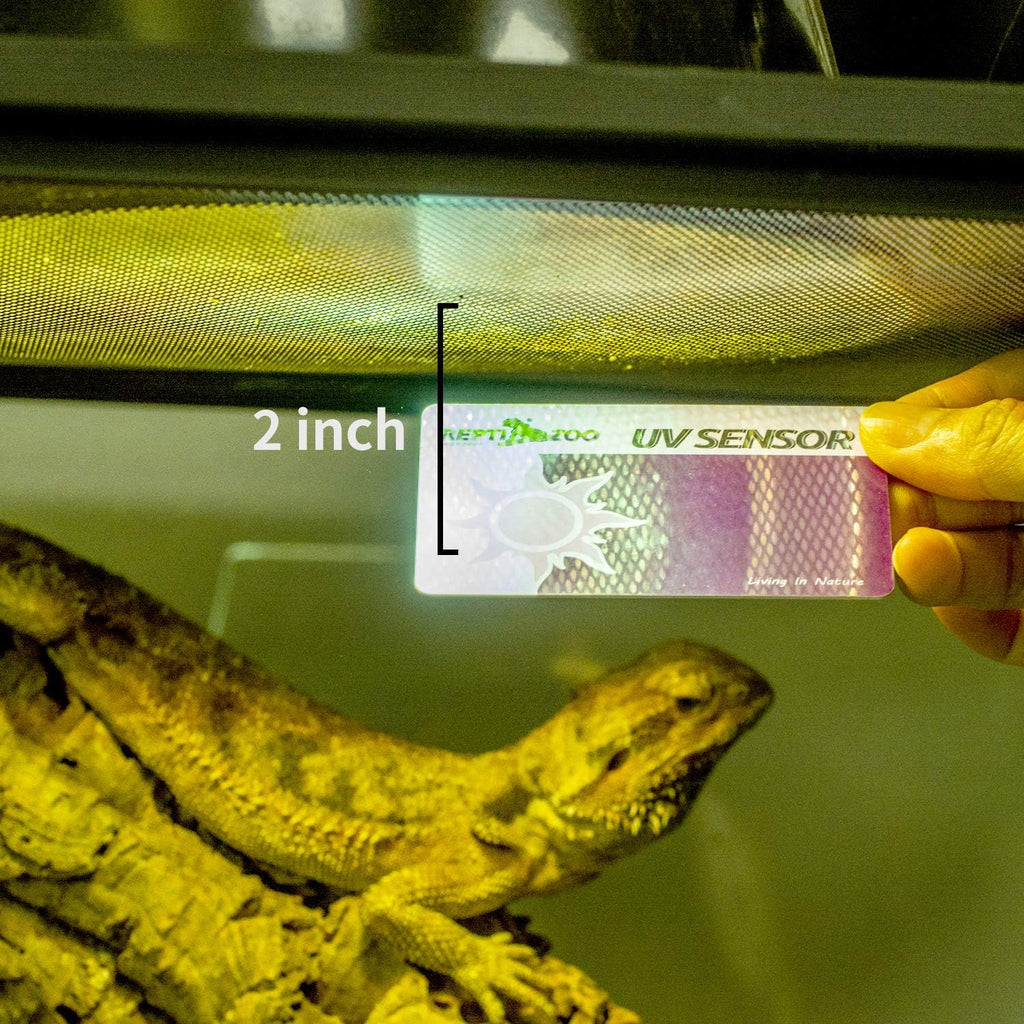 Credit card sized UV sensor cards shown with a ruler for scale