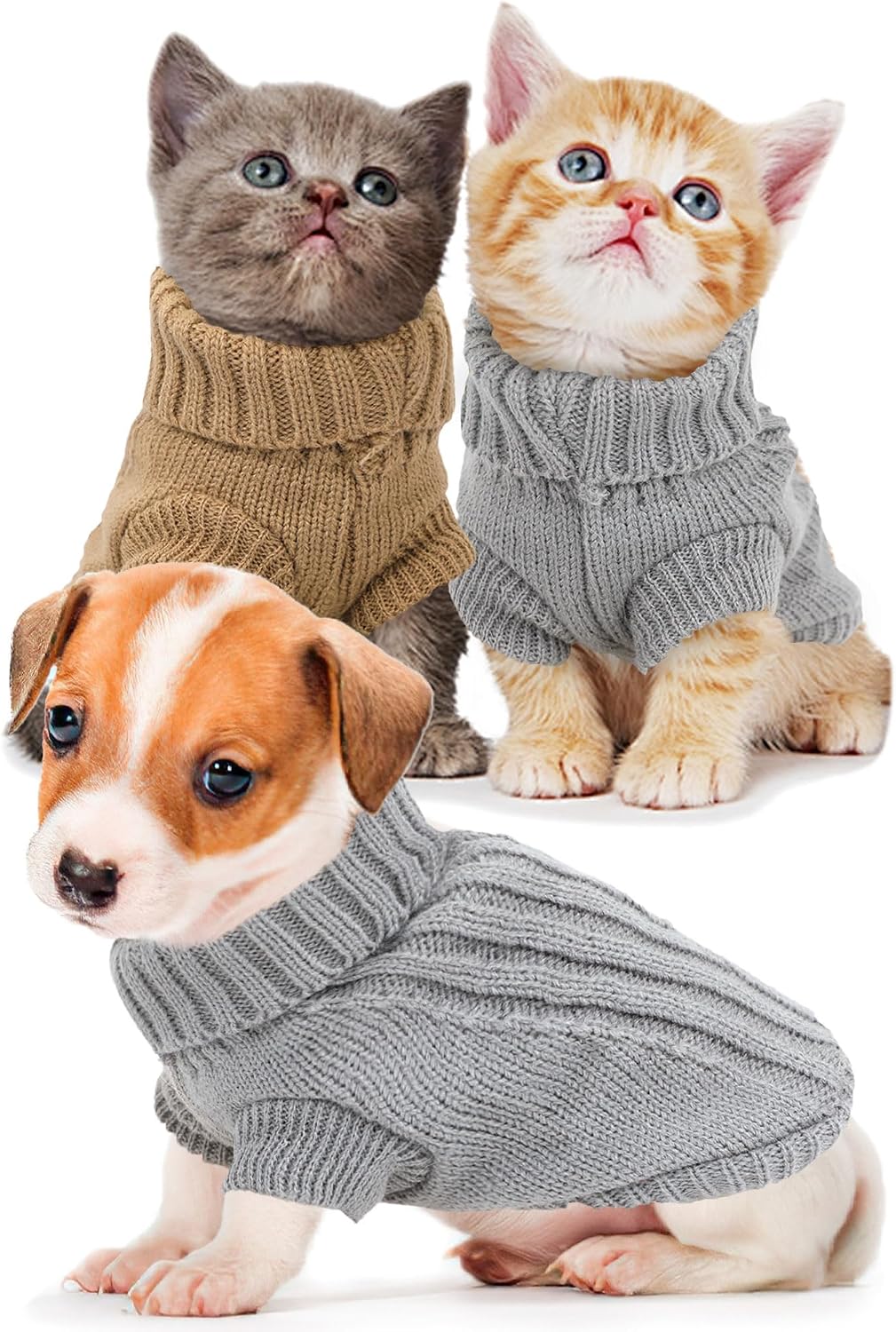 Authentic USA imported premium pet winter clothing set displayed flat.