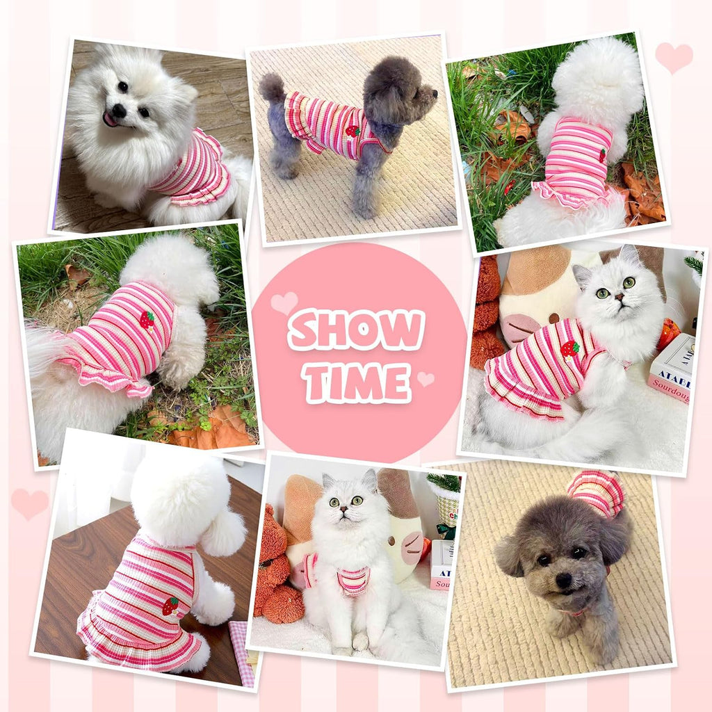 XGDMEIL striped female dog outfit back view with strawberry patch