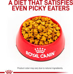Authentic USA imported Royal Canin pet food bag for canine obesity control.