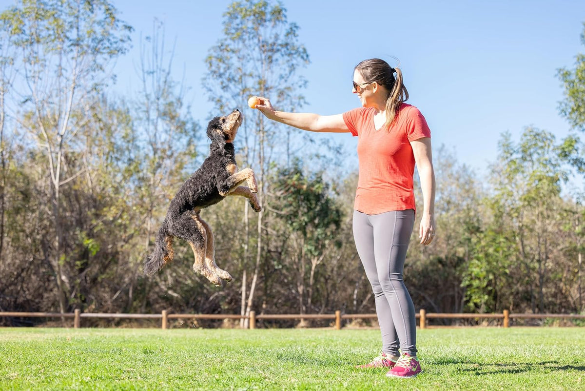 Chuckit! Birthday Fetch Ball being held next to a ball launcher