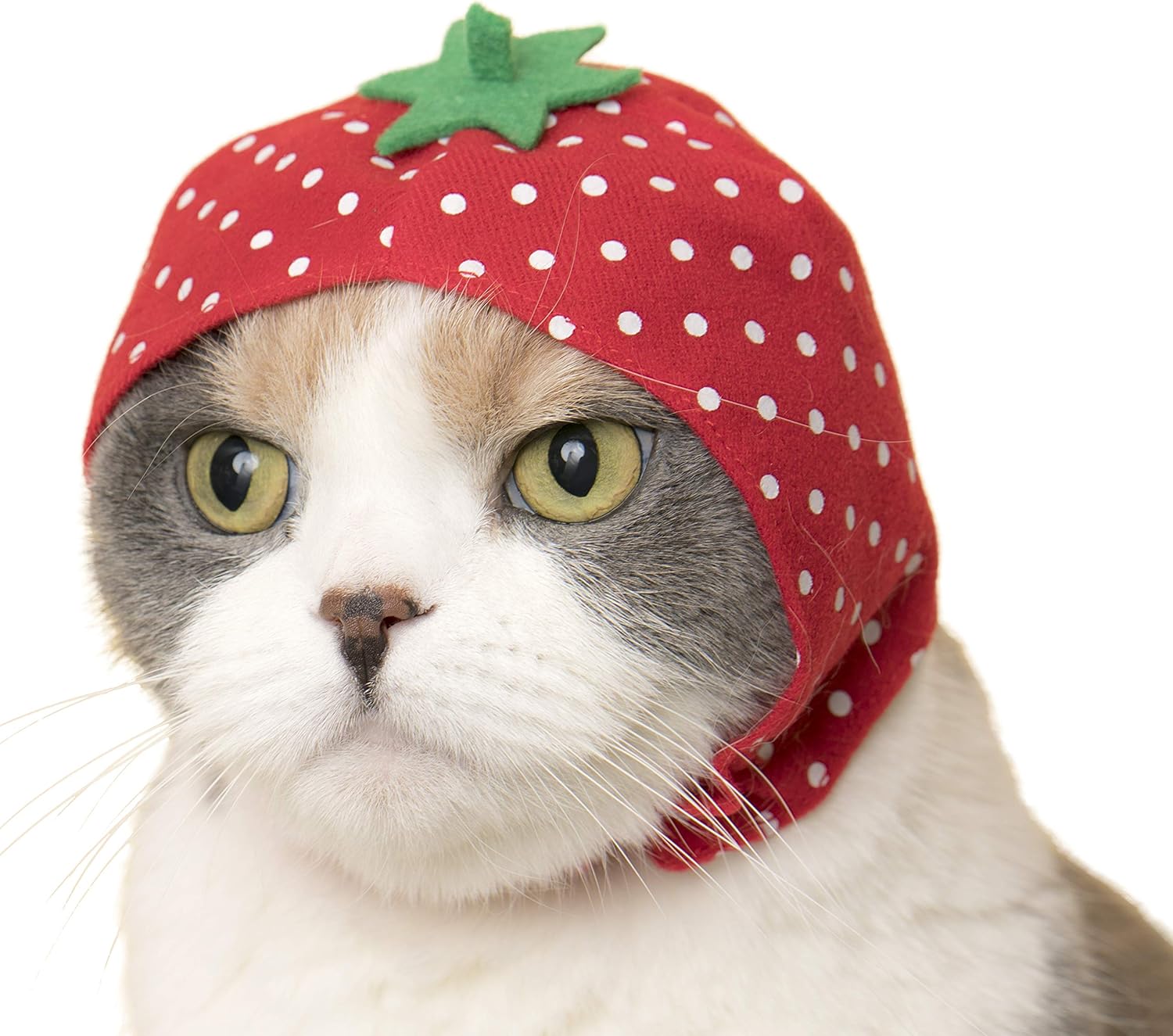 Adjustable bottom strap detail for Kitan Club cat hat
