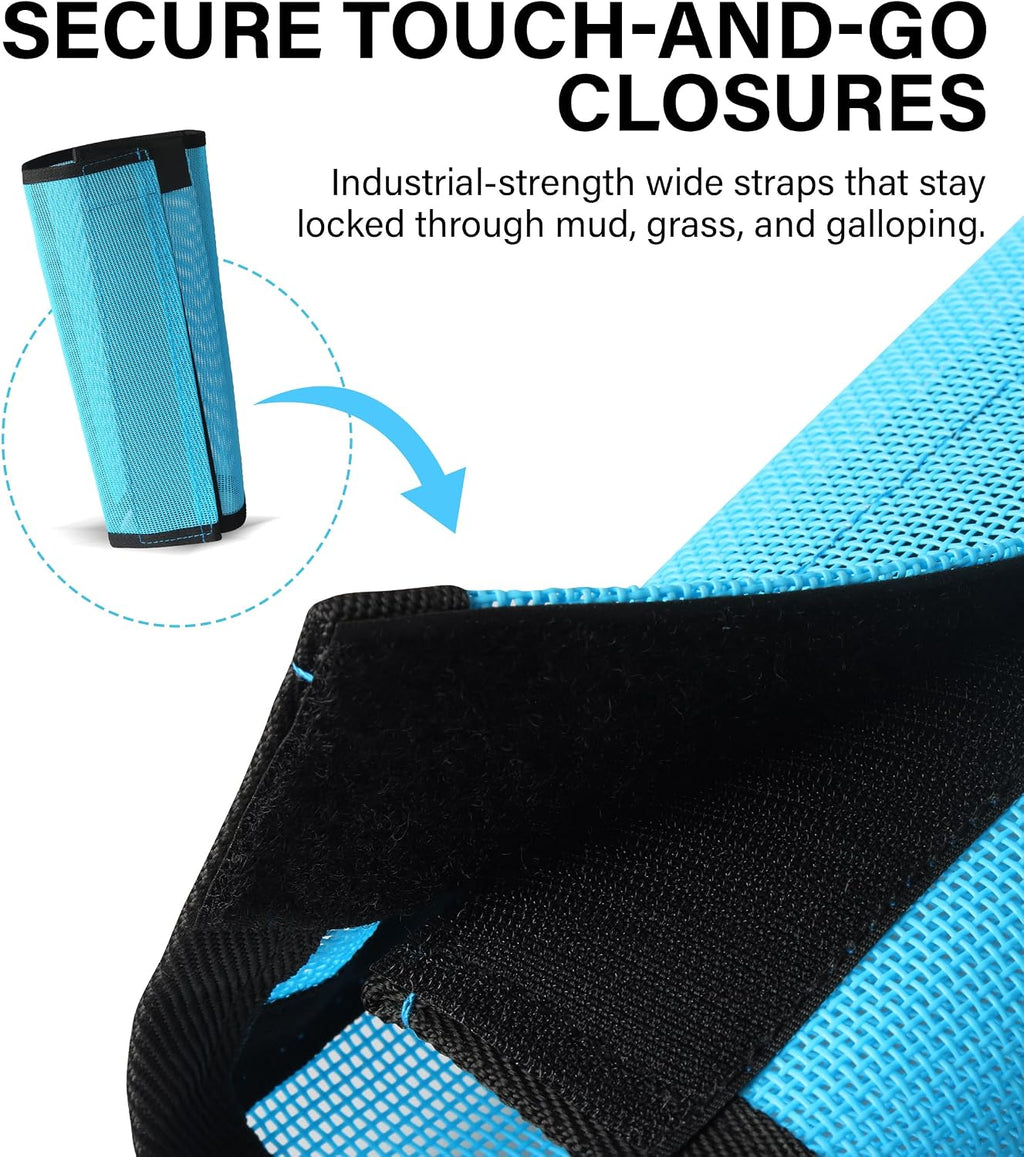 Set of four sky blue HackFond horse leg guards laid flat demonstrating the lightweight see through material