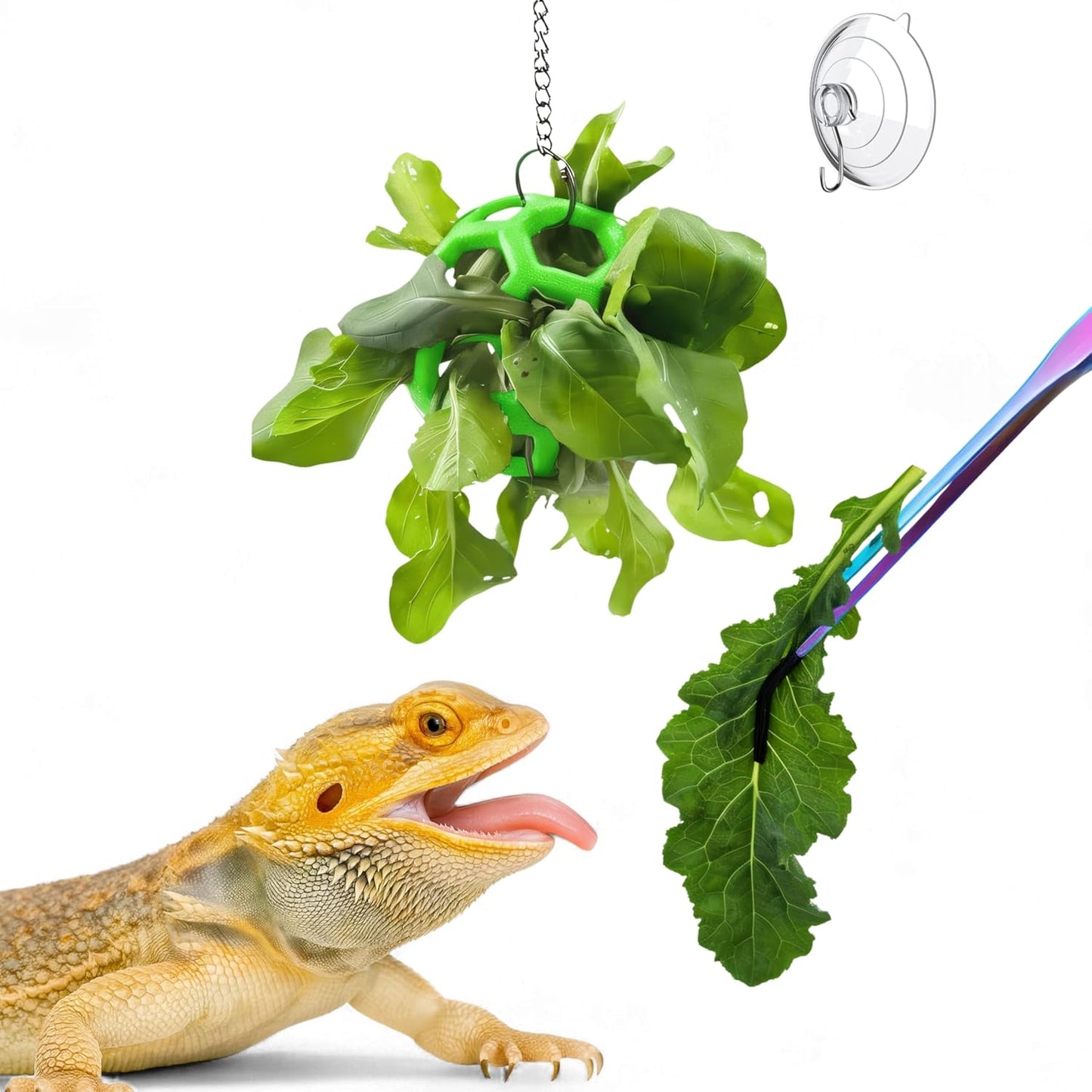 Homedy Crafts bearded dragon enrichment toys front view showcasing the green veggie feeder ball and feeding tongs